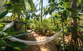Hotel Villa Mozart Y Macondo